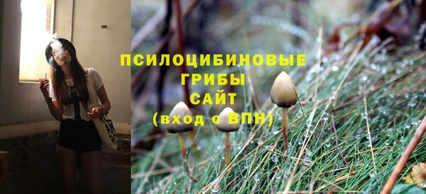 героин Инсар